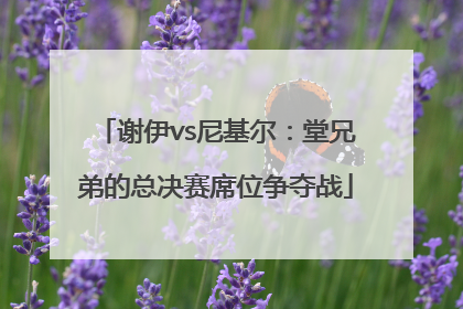 谢伊vs尼基尔：堂兄弟的总决赛席位争夺战