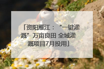 资阳雁江：“一键灌溉”万亩良田 全域灌溉项目7月投用