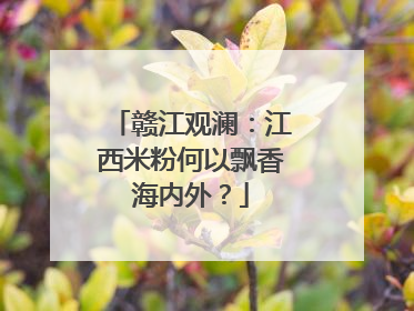 赣江观澜：江西米粉何以飘香海内外？