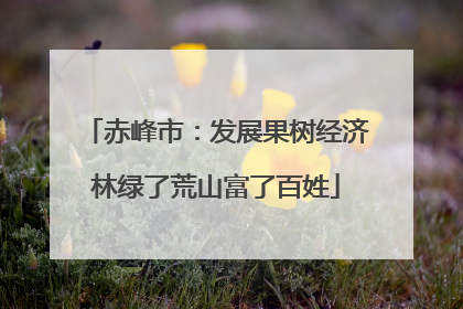 赤峰市：发展果树经济林绿了荒山富了百姓