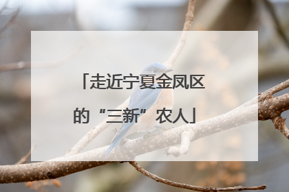 走近宁夏金凤区的“三新”农人