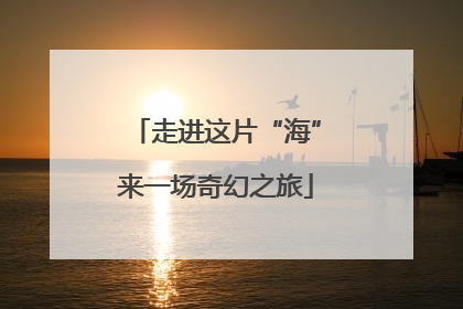 走进这片“海”来一场奇幻之旅