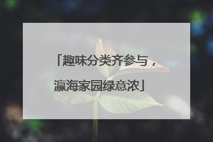 趣味分类齐参与，瀛海家园绿意浓
