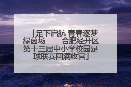 足下启航 青春逐梦绿茵场——合肥经开区第十三届中小学校园足球联赛圆满收官