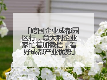 跨国企业成都园区行，意大利企业家忙着加微信，看好成都产业优势