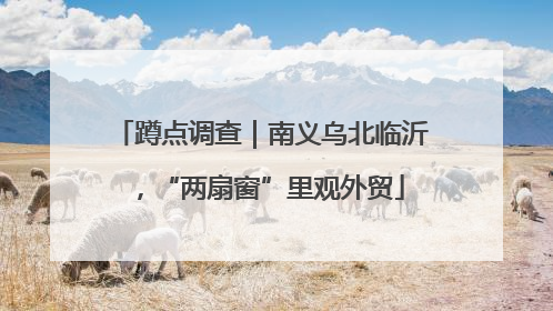蹲点调查｜南义乌北临沂，“两扇窗”里观外贸