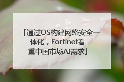 通过OS构建网络安全一体化，Fortinet看重中国市场AI需求