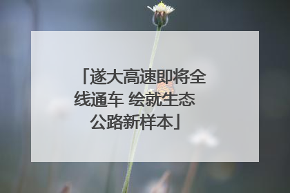 遂大高速即将全线通车 绘就生态公路新样本