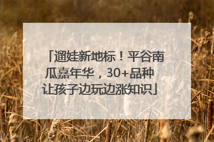 遛娃新地标！平谷南瓜嘉年华，30+品种让孩子边玩边涨知识