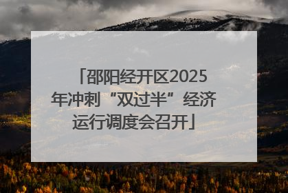 邵阳经开区2025年冲刺“双过半”经济运行调度会召开