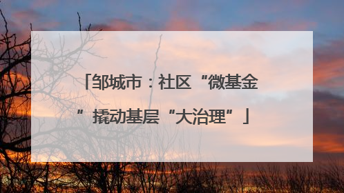 邹城市：社区“微基金”撬动基层“大治理”