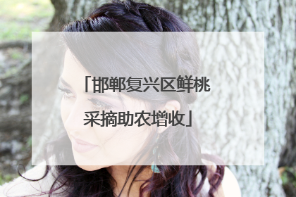 邯郸复兴区鲜桃采摘助农增收