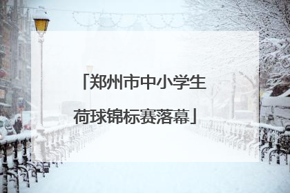郑州市中小学生荷球锦标赛落幕