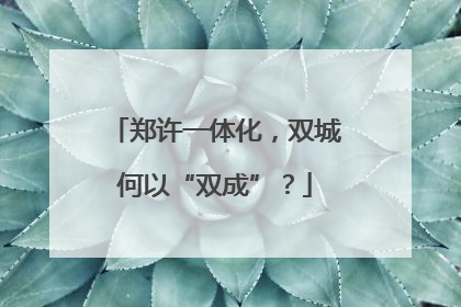 郑许一体化，双城何以“双成”？