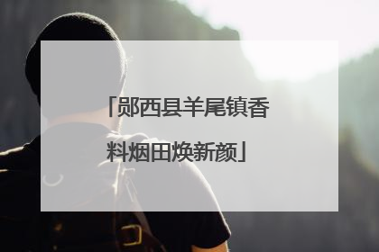 郧西县羊尾镇香料烟田焕新颜