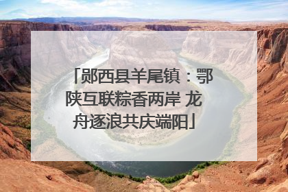 郧西县羊尾镇：鄂陕互联粽香两岸 龙舟逐浪共庆端阳
