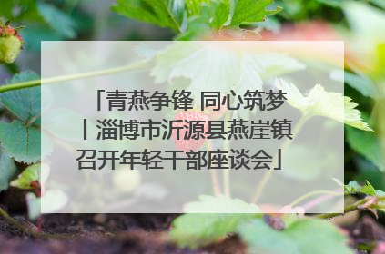 青燕争锋 同心筑梦丨淄博市沂源县燕崖镇召开年轻干部座谈会