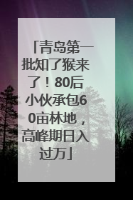 青岛第一批知了猴来了！80后小伙承包60亩林地，高峰期日入过万