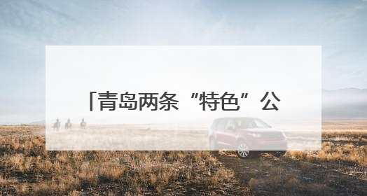 青岛两条“特色”公交线路有调整 昔日最长线312路停运