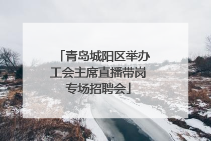 青岛城阳区举办工会主席直播带岗专场招聘会