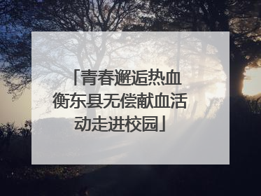 青春邂逅热血 衡东县无偿献血活动走进校园