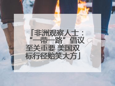 非洲观察人士：“一带一路”倡议至关重要 美国双标行径贻笑大方