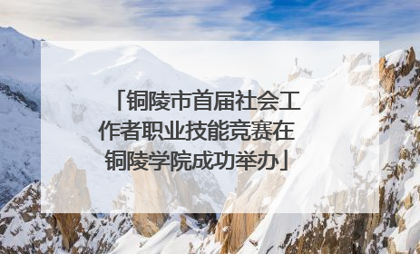 铜陵市首届社会工作者职业技能竞赛在铜陵学院成功举办