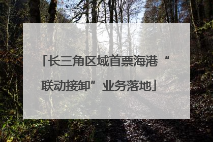 长三角区域首票海港“联动接卸”业务落地