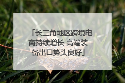 长三角地区跨境电商持续增长 高端装备出口势头良好