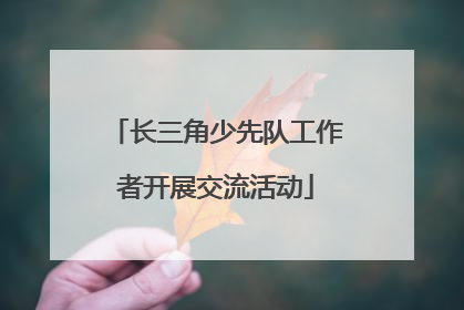 长三角少先队工作者开展交流活动