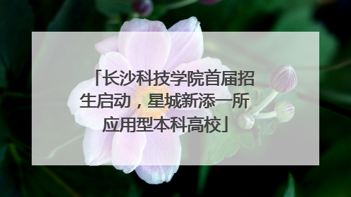 长沙科技学院首届招生启动，星城新添一所应用型本科高校