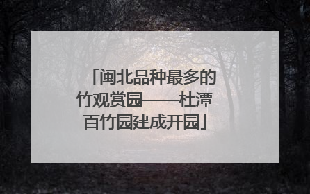 闽北品种最多的竹观赏园——杜潭百竹园建成开园