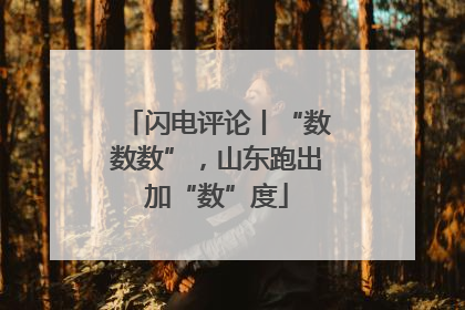 闪电评论丨“数数数”，山东跑出加“数”度
