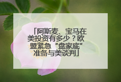 阿斯麦、宝马在美投资有多少？欧盟紧急“盘家底”准备与美谈判
