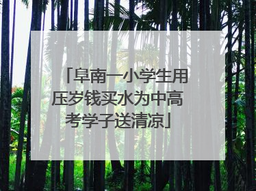 阜南一小学生用压岁钱买水为中高考学子送清凉