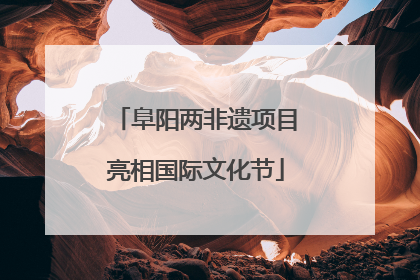 阜阳两非遗项目亮相国际文化节
