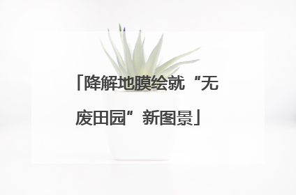降解地膜绘就“无废田园”新图景