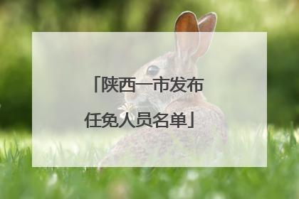 陕西一市发布任免人员名单