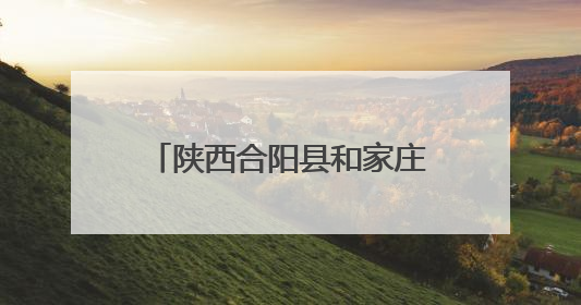陕西合阳县和家庄镇：“小网格”汇聚“大能量” 激活基层治理新动能