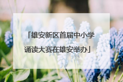 雄安新区首届中小学诵读大赛在雄安举办