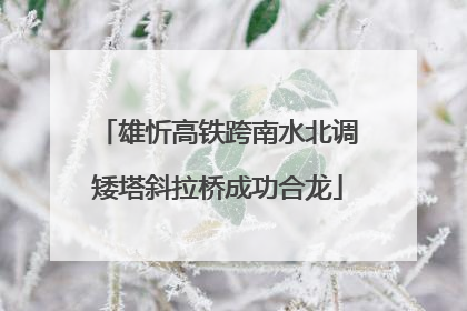 雄忻高铁跨南水北调矮塔斜拉桥成功合龙