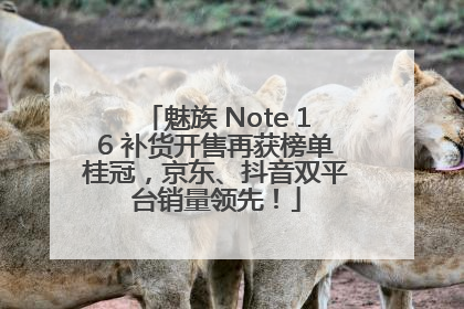 魅族 Note 16 补货开售再获榜单桂冠，京东、抖音双平台销量领先！
