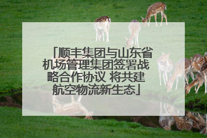 顺丰集团与山东省机场管理集团签署战略合作协议 将共建航空物流新生态