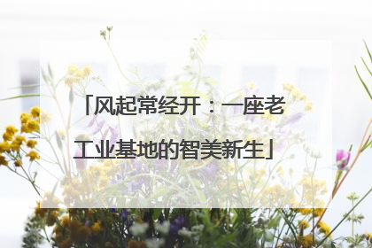 风起常经开：一座老工业基地的智美新生