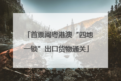 首票闽粤港澳“四地一锁”出口货物通关