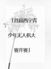 首届西宁青少年无人机大赛开赛