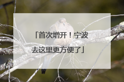 首次增开！宁波去这里更方便了