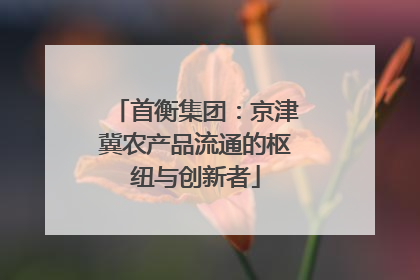 首衡集团：京津冀农产品流通的枢纽与创新者