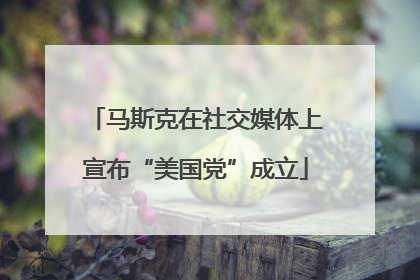 马斯克在社交媒体上宣布“美国党”成立