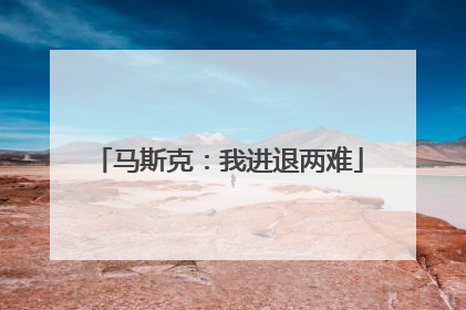 马斯克：我进退两难